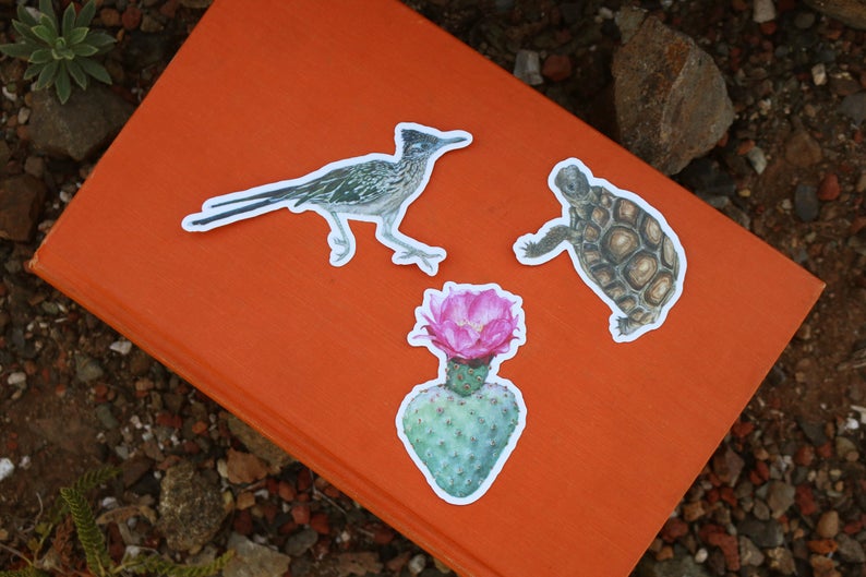 Deserts of California Vinyl Stickers: Roadrunner, Desert Tortoise, Beavertail Cactus