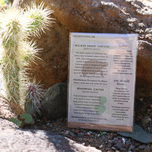 Deserts of California: Three Vinyl Stickers, Greater Roadrunner, Desert Tortoise, Beavertail Pricklypear Cactus