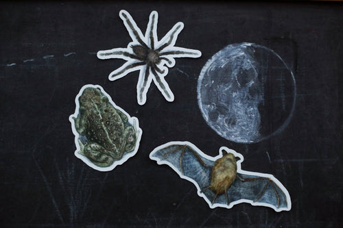 Load image 1 in gallery view. Spooky California Vinyl Stickers: CA Bat, CA Toad, Desert Tarantula
