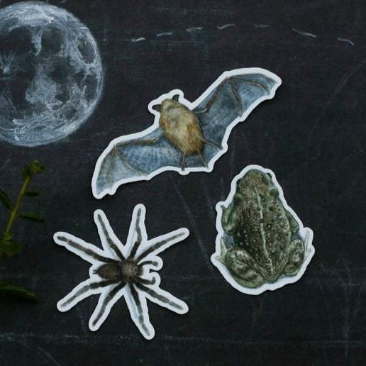 Spooky California: Three Vinyl Stickers - California Bat, California Toad, Desert Tarantula