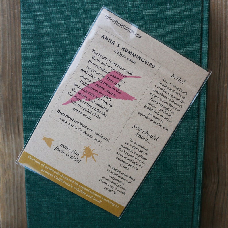 Bird and Bees Vinyl Stickers: Anna's Hummingbird, Native California Bees