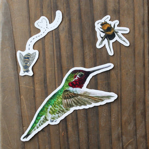 Bird and Bees Sticker Set: Three Vinyl Stickers, Anna's Hummingbird, Native California Bees