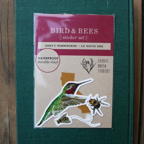 Load image 1 in gallery view. Bird and Bees Vinyl Stickers: Anna's Hummingbird, Native California Bees