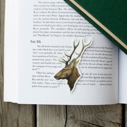 Load image 1 in gallery view. Point Reyes Vinyl Stickers: Douglas Iris, Elephant Seal, Tule Elk
