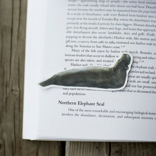 Load image 1 in gallery view. Point Reyes Vinyl Stickers: Douglas Iris, Elephant Seal, Tule Elk