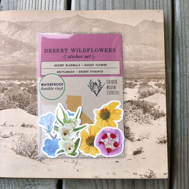 Desert Wildflowers Vinyl Stickers: Desert Fivespot, Brittlebush, Desert Bluebells, Ghostflower