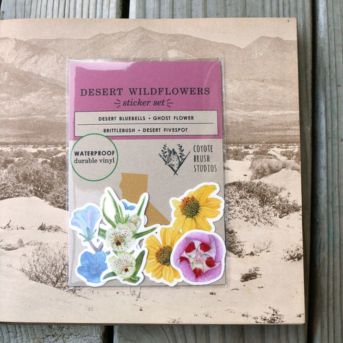 Load image 1 in gallery view. Desert Wildflowers Vinyl Stickers: Desert Fivespot, Brittlebush, Desert Bluebells, Ghostflower