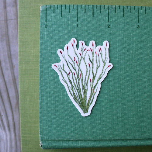 Load image 1 in gallery view. Joshua Tree Vinyl Stickers: Ocotillo, Desert Mallow, Joshua Tree
