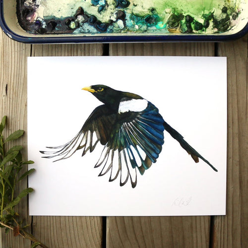 Load image 1 in gallery view. Yellow Billed Magpie 8x10 Print - Native California Wildlife, Bird Print
