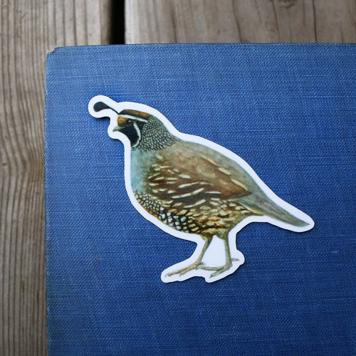 Load image 1 in gallery view. Poppy & Quail Vinyl Stickers
