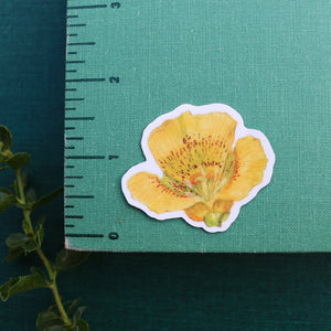 Wildflowers of California Stickers: Three Vinyl Stickers, California Poppy, Silver Lupine, Mariposa Lily