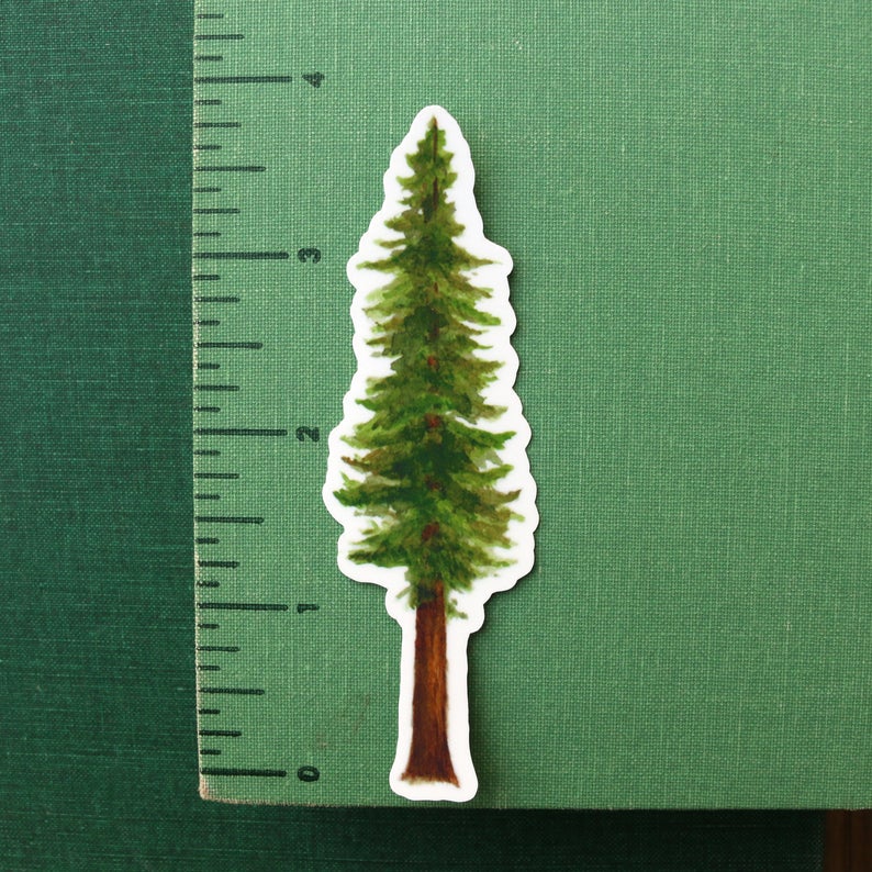 State Symbols Vinyl Stickers: Coastal Redwood, CA Grizzly, Gray Whale