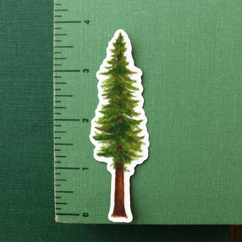 Load image 1 in gallery view. State Symbols Vinyl Stickers: Coastal Redwood, CA Grizzly, Gray Whale