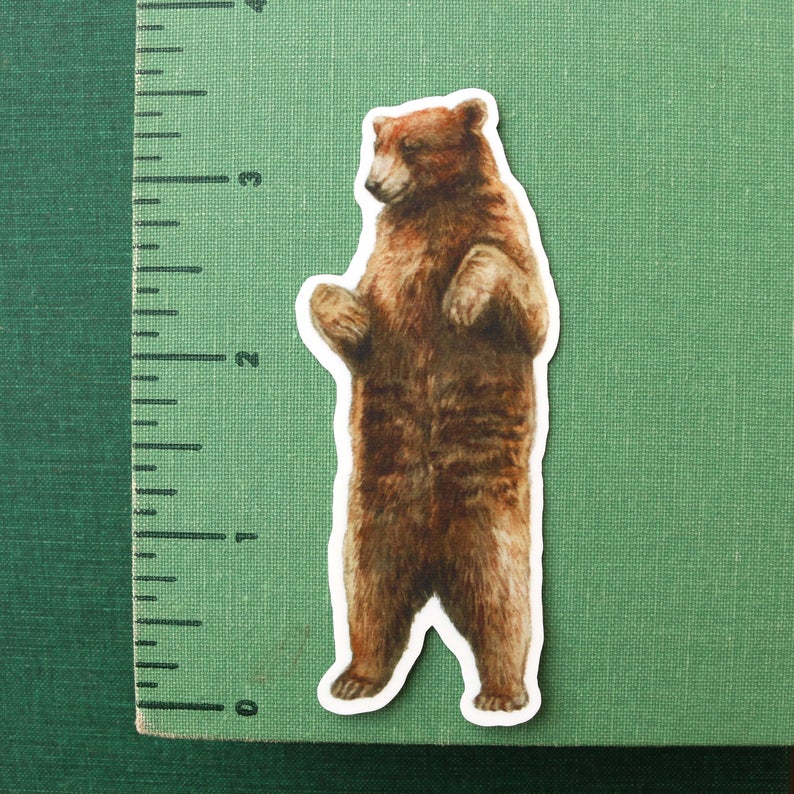 State Symbols Vinyl Stickers: Coastal Redwood, CA Grizzly, Gray Whale