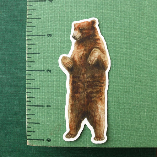 Load image 1 in gallery view. State Symbols Vinyl Stickers: Coastal Redwood, CA Grizzly, Gray Whale