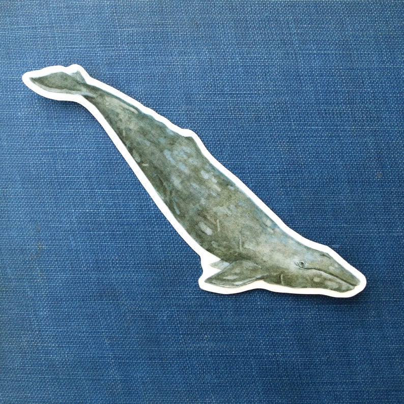 State Symbols Vinyl Stickers: Coastal Redwood, CA Grizzly, Gray Whale