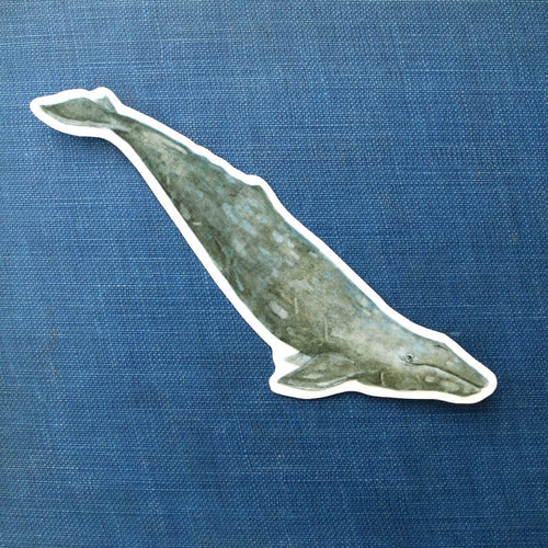 Load image 1 in gallery view. State Symbols Vinyl Stickers: Coastal Redwood, CA Grizzly, Gray Whale