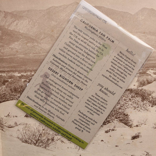Load image 1 in gallery view. Desert Oasis Vinyl Stickers: Desert Bighorn Sheep, California Fan Palm, Hooded Oriole