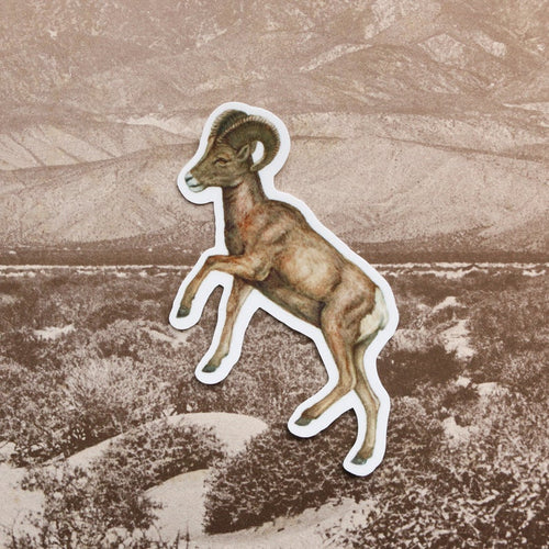 Load image 1 in gallery view. Desert Oasis Vinyl Stickers: Desert Bighorn Sheep, California Fan Palm, Hooded Oriole