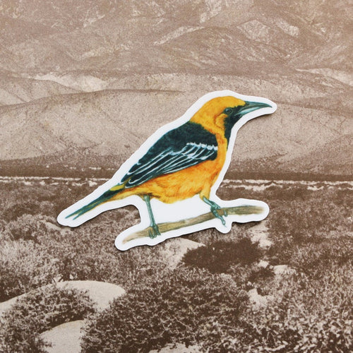 Load image 1 in gallery view. Desert Oasis Vinyl Stickers: Desert Bighorn Sheep, California Fan Palm, Hooded Oriole