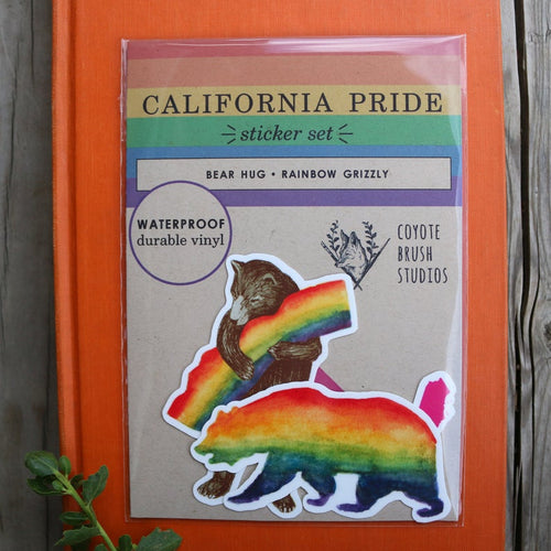Load image 1 in gallery view. Rainbow LGBTQIA+ CA Pride Vinyl Stickers: Gay Pride Flag Bears