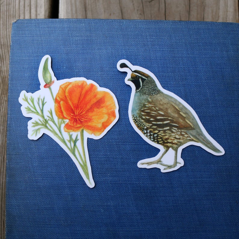 Poppy & Quail Vinyl Stickers