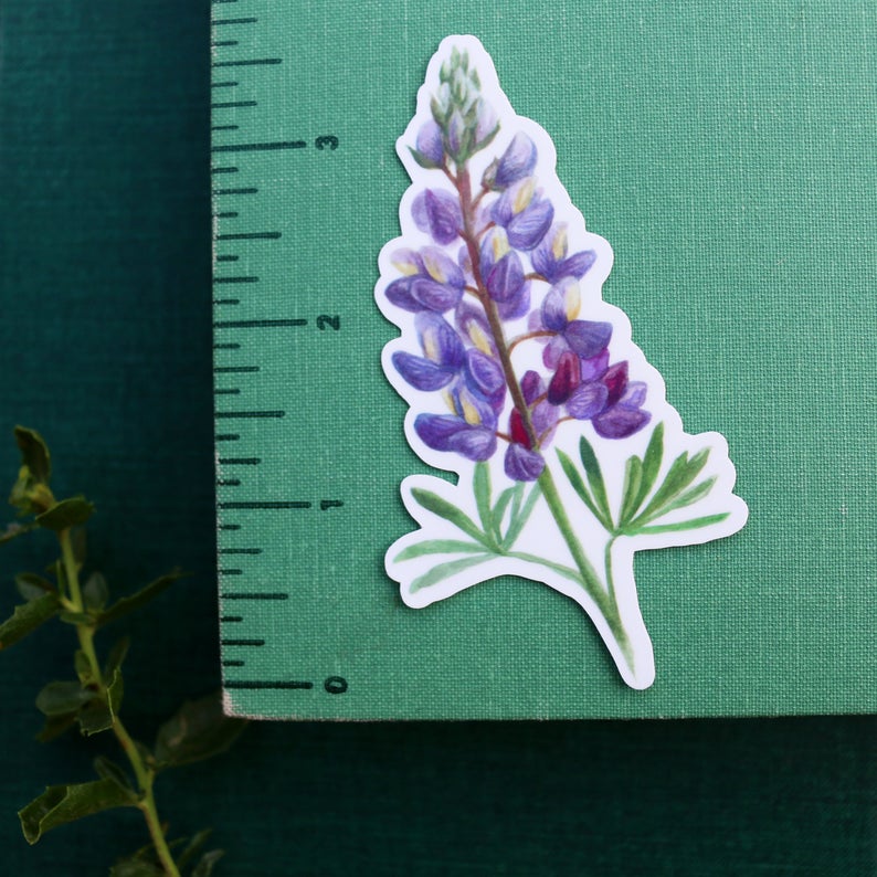 Wildflowers of California Vinyl Stickers: CA Poppy, Lupine, Mariposa Lily