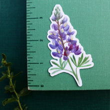 Wildflowers of California Stickers: Three Vinyl Stickers, California Poppy, Silver Lupine, Mariposa Lily