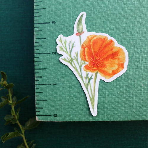 Load image 1 in gallery view. Wildflowers of California Vinyl Stickers: CA Poppy, Lupine, Mariposa Lily