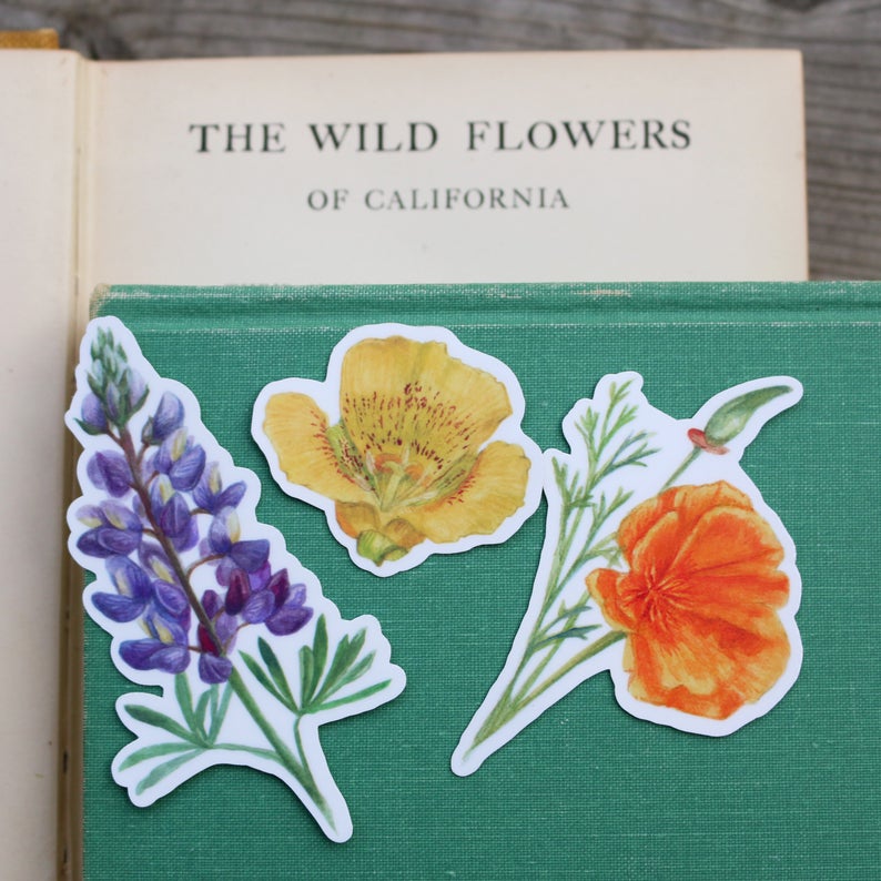 Wildflowers of California Vinyl Stickers: CA Poppy, Lupine, Mariposa Lily