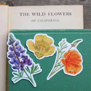 Wildflowers of California Stickers: Three Vinyl Stickers, California Poppy, Silver Lupine, Mariposa Lily