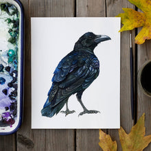 Northern Raven no circle  watercolor painting art print native California 8x10