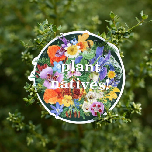 Load image 1 in gallery view. California Native Plants Sticker