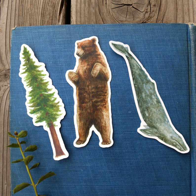 State Symbols Vinyl Stickers: Coastal Redwood, CA Grizzly, Gray Whale