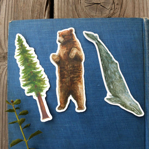 State Symbols Stickers: Three Vinyl Stickers, Coastal Redwood, California Grizzly, Gray Whale