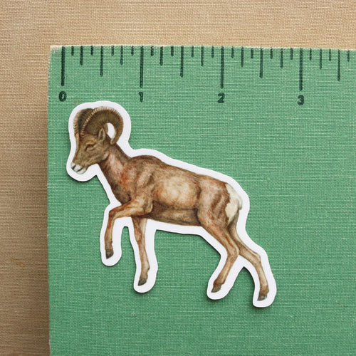 Load image 1 in gallery view. Desert Oasis Vinyl Stickers: Desert Bighorn Sheep, California Fan Palm, Hooded Oriole