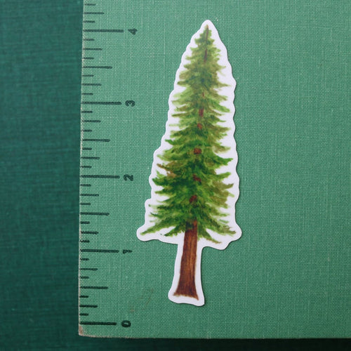 Load image 1 in gallery view. Redwood Forest Vinyl Stickers: Coastal Redwood, Banana Slug, Redwood Sorrel