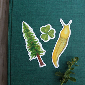 Redwood Forest Stickers: Three Vinyl Stickers, Coastal Redwood, Banana Slug, Redwood Sorrel