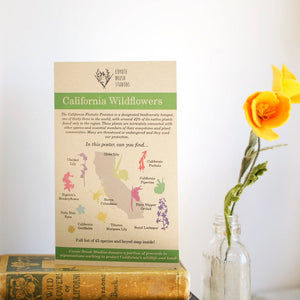 California Wildflower Poster: 45 Native California Wildflowers