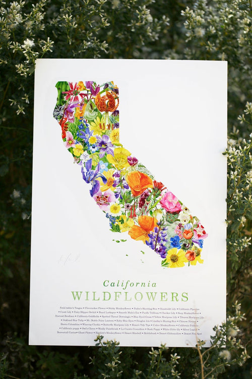 Load image 1 in gallery view. California Wildflower Poster: 45 Native California Wildflowers