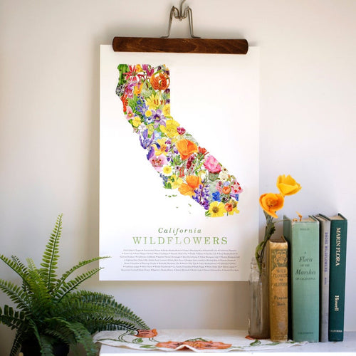 Load image 1 in gallery view. California Wildflower Poster: 45 Native California Wildflowers