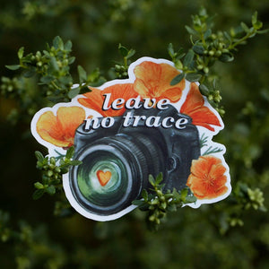 Leave No Trace - California Poppies and Camera Vinyl Sticker