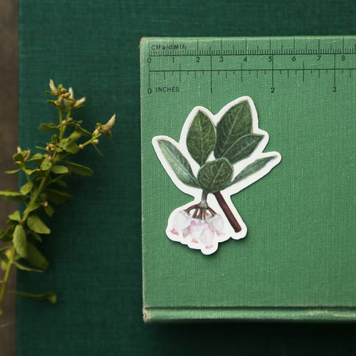 Load image 1 in gallery view. Endangered California Vinyl Stickers: CA Condor, San Joaquin Kit Fox, Franciscan Manzanita