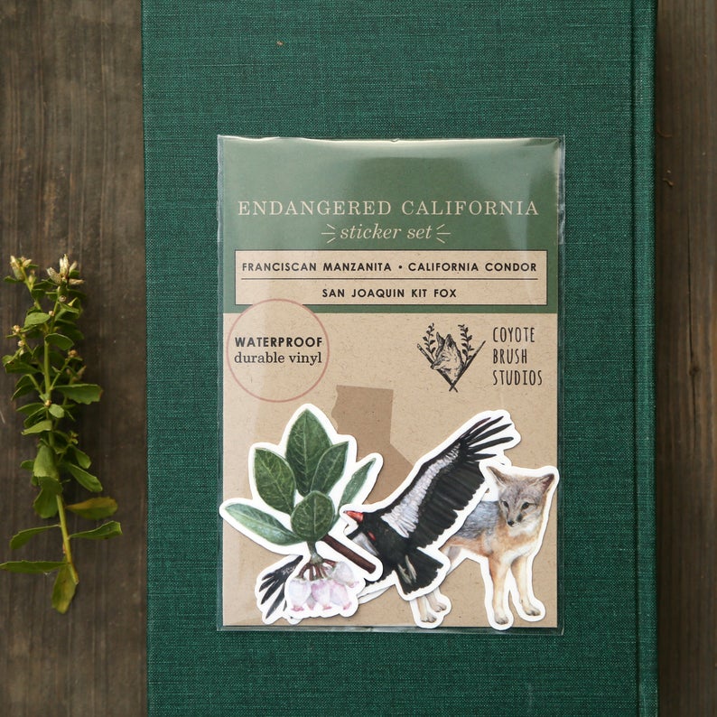 Endangered California Vinyl Stickers: CA Condor, San Joaquin Kit Fox, Franciscan Manzanita