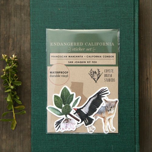 Load image 1 in gallery view. Endangered California Vinyl Stickers: CA Condor, San Joaquin Kit Fox, Franciscan Manzanita