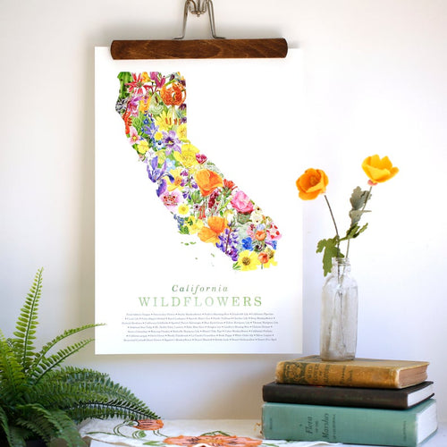 Load image 1 in gallery view. California Wildflower Poster: 45 Native California Wildflowers