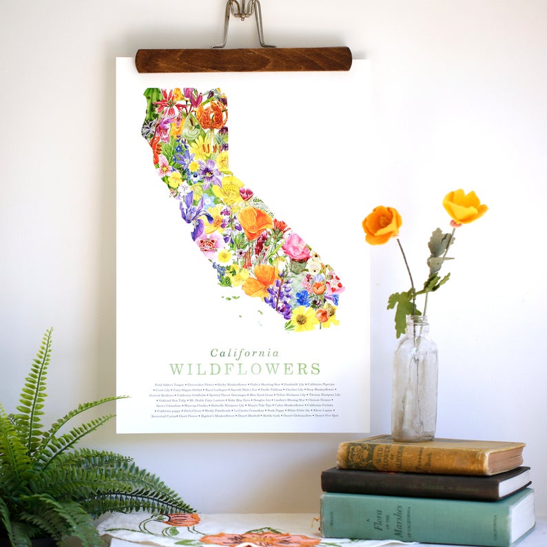 California Wildflower Poster: 45 Native California Wildflowers