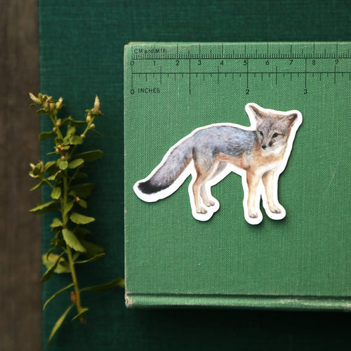 Load image 1 in gallery view. Endangered California Vinyl Stickers: CA Condor, San Joaquin Kit Fox, Franciscan Manzanita
