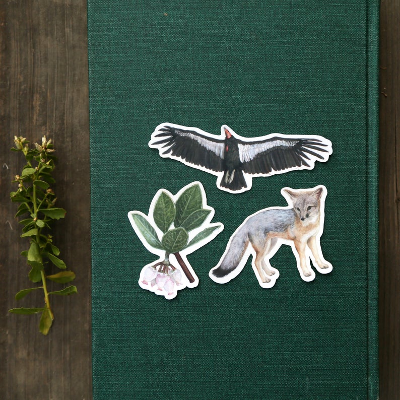 Endangered California Vinyl Stickers: CA Condor, San Joaquin Kit Fox, Franciscan Manzanita
