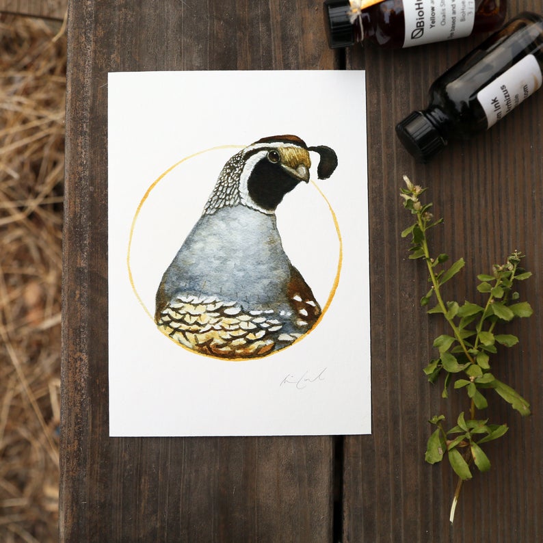 California Quail watercolor painting art print native California 5x7